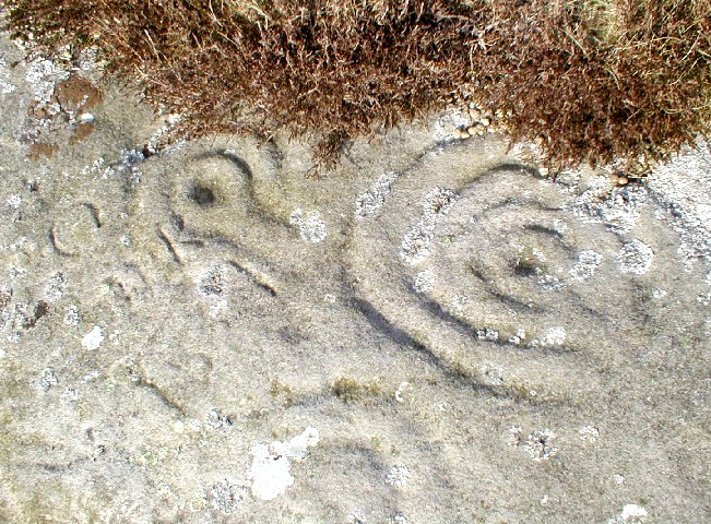 Coldmartin Loughs 1-2 (Cup and Ring Marks / Rock Art) by pebblesfromheaven