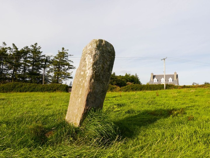 Ballyvoge 1 (Standing Stone / Menhir) by Meic