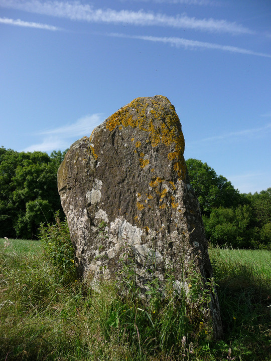 Is-coed (Standing Stone / Menhir) by thesweetcheat
