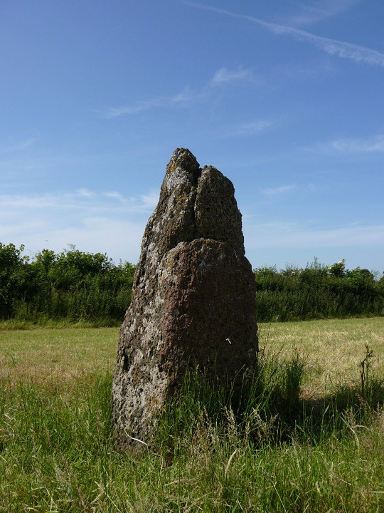 Maen Llwyd (Llandyfaelog) (Standing Stone / Menhir) by thesweetcheat
