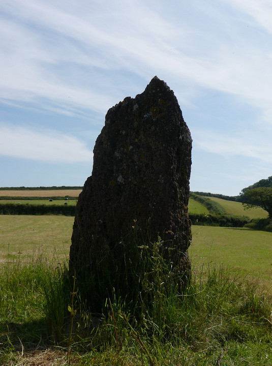 Maen Llwyd (Llandyfaelog) (Standing Stone / Menhir) by thesweetcheat