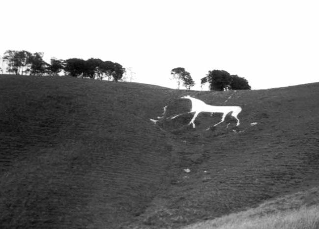 Cherhill Down and Oldbury (Hillfort) by pure joy