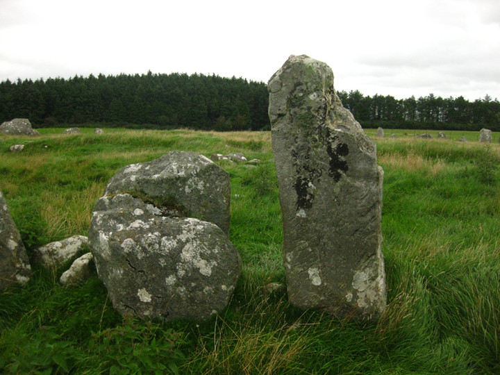 Beltany (Stone Circle) by ryaner