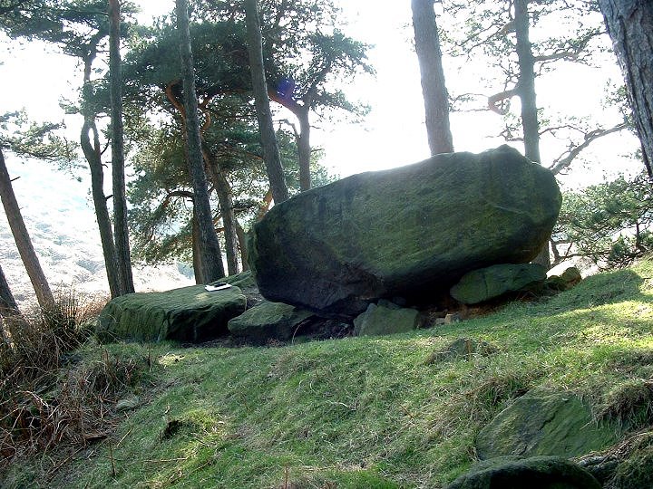 Willy Hall's Wood Stone (Cup and Ring Marks / Rock Art) by Chris Collyer