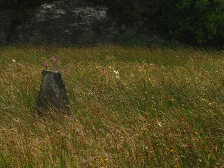 Clonbeg Glebe (Standing Stone / Menhir) by ryaner