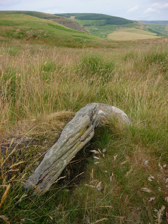 Mynydd y Gelli (Stone Circle) by thesweetcheat