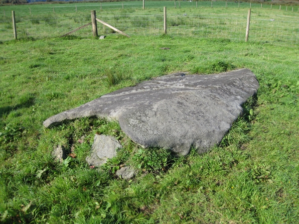 Dunadd II (Standing Stone / Menhir) by new abbey