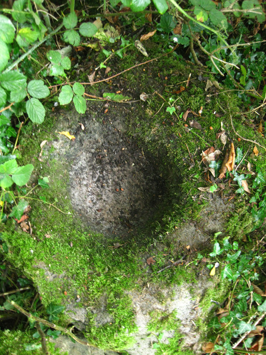 Castletown (Bullaun Stone) by ryaner