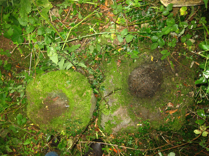 Castletown (Bullaun Stone) by ryaner