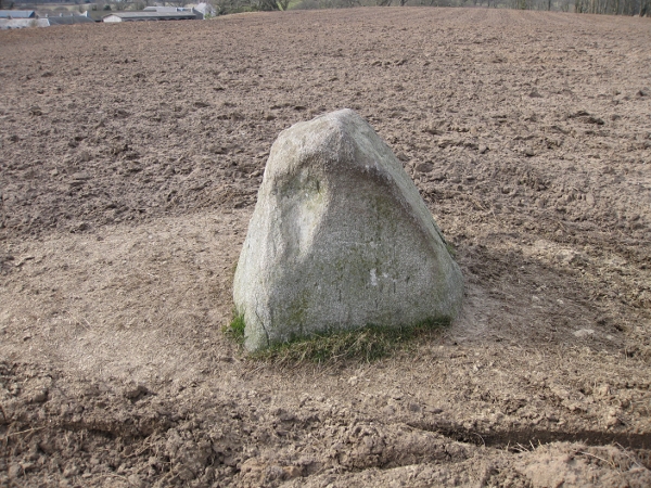 Home Farm (Standing Stones) by new abbey