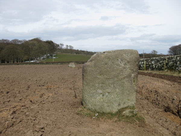 Home Farm (Standing Stones) by new abbey