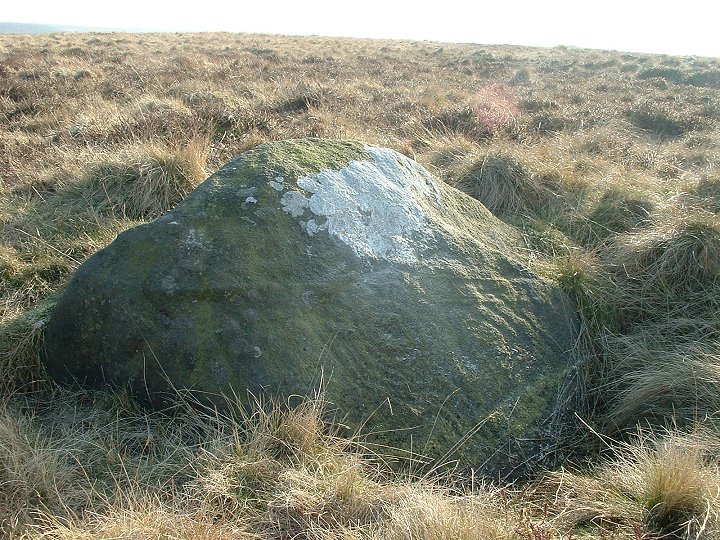 Little Badger Stone (Cup and Ring Marks / Rock Art) by Chris Collyer