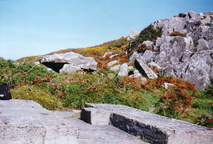 Carn Llidi Tombs (Chambered Tomb) by moss