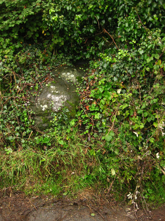 Grange Irish bullaun (Bullaun Stone) by ryaner