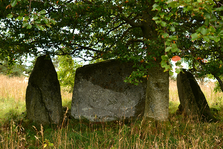 Dunnydeer Farm (Stone Circle) by thelonious