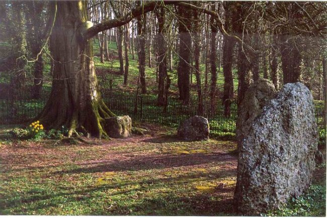 The Nine Stones of Winterbourne Abbas (Stone Circle) by jimit