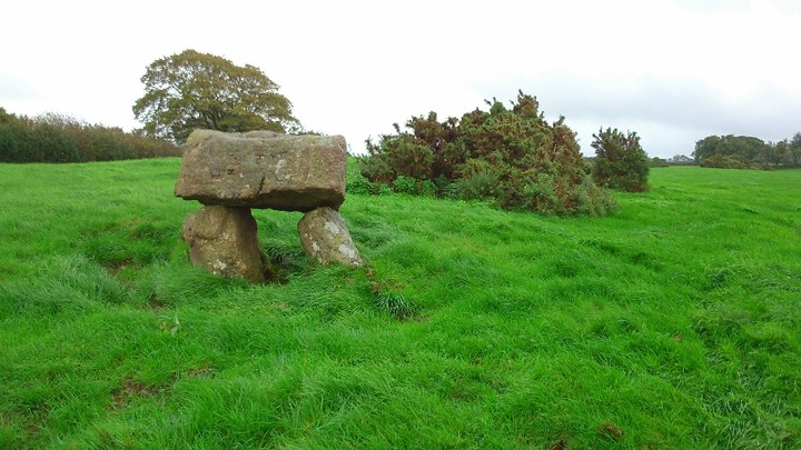 Meacombe Burial Chamber (Burial Chamber) by wickerman