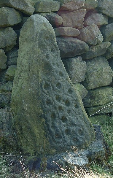 Baildon Stone 1 (Dobrudden) (Cup and Ring Marks / Rock Art) by Chris Collyer