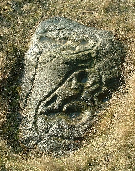 Baildon Stone 2 (Cup and Ring Marks / Rock Art) by Chris Collyer