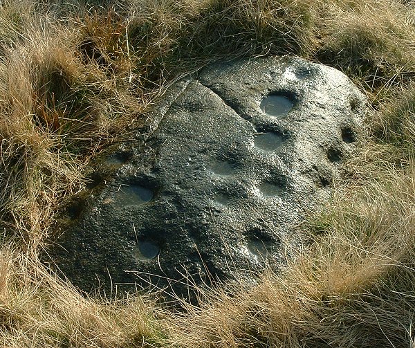 Baildon Stone 3 (Cup Marked Stone) by Chris Collyer