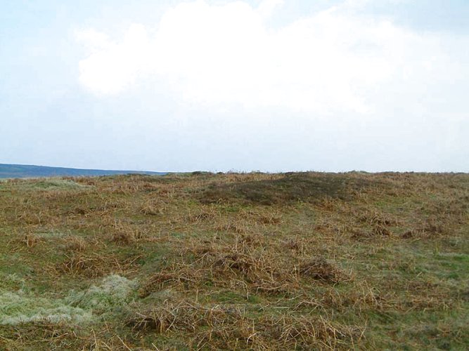 Beeley Moor (Ring Cairn) by stubob