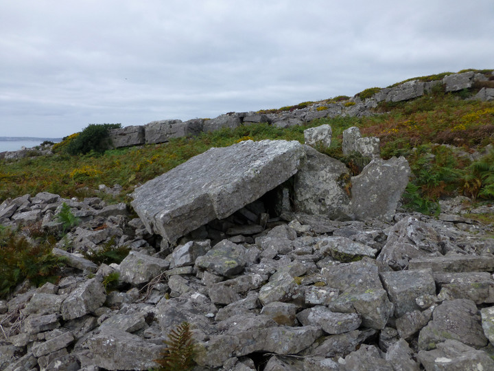 Morfa Bychan (Chambered Cairn) by thesweetcheat