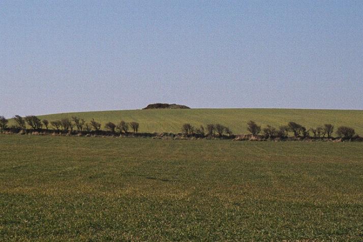 Hinderwell Beacon (Round Barrow(s)) by fitzcoraldo