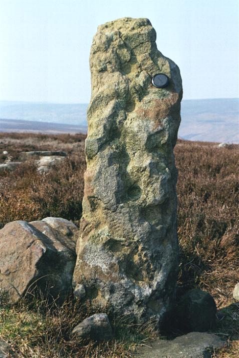 Little Hograh Moor (Standing Stones) by fitzcoraldo