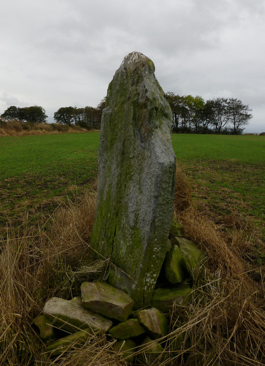 Monkshill (Standing Stone / Menhir) by thesweetcheat