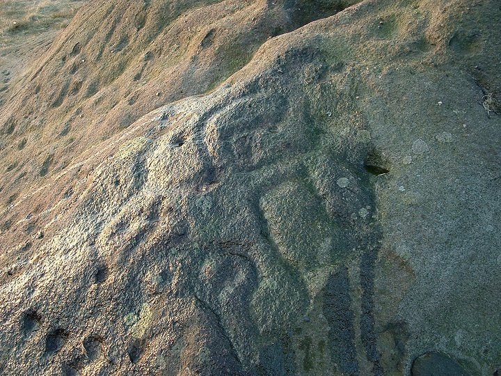 The Badger Stone (Cup and Ring Marks / Rock Art) by Chris Collyer