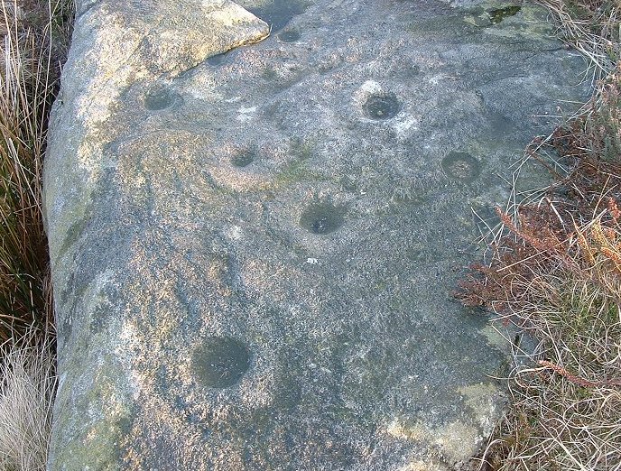 Weary Hill Stone (Cup and Ring Marks / Rock Art) by Chris Collyer