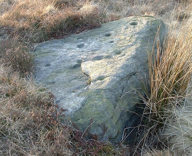 Weary Hill Stone (Cup and Ring Marks / Rock Art) by Chris Collyer