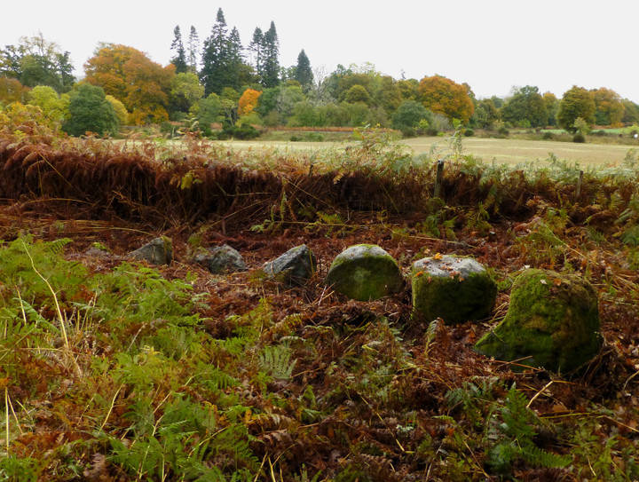 Belladrum (North) (Clava Cairn) by thesweetcheat