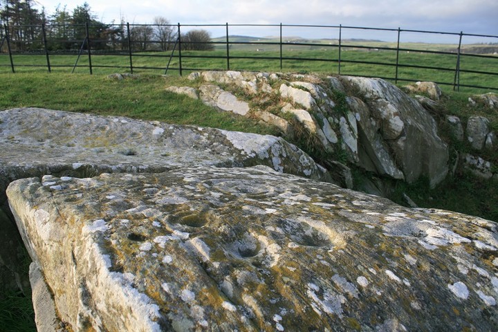 Drumtroddan Carved Rocks (Cup and Ring Marks / Rock Art) by postman