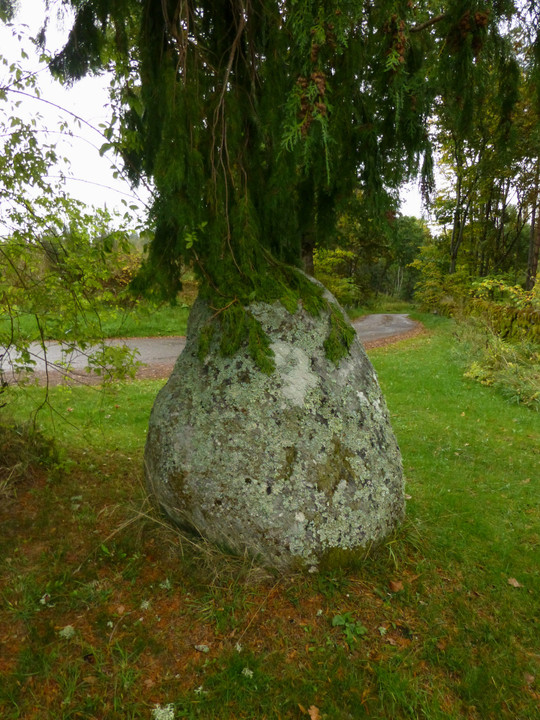 Meg's Stone (Standing Stone / Menhir) by thesweetcheat