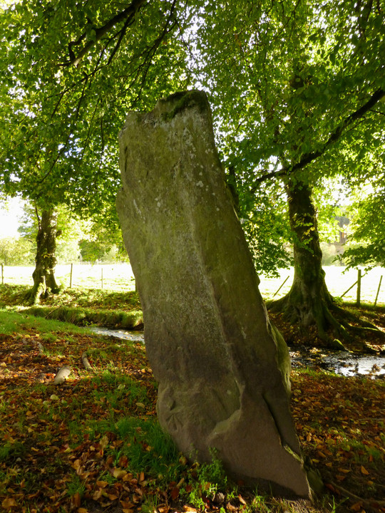Mony's Stone (Standing Stone / Menhir) by thesweetcheat