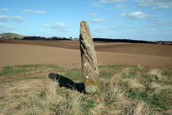 Easter Pitcorthie (Standing Stone / Menhir) by nickbrand