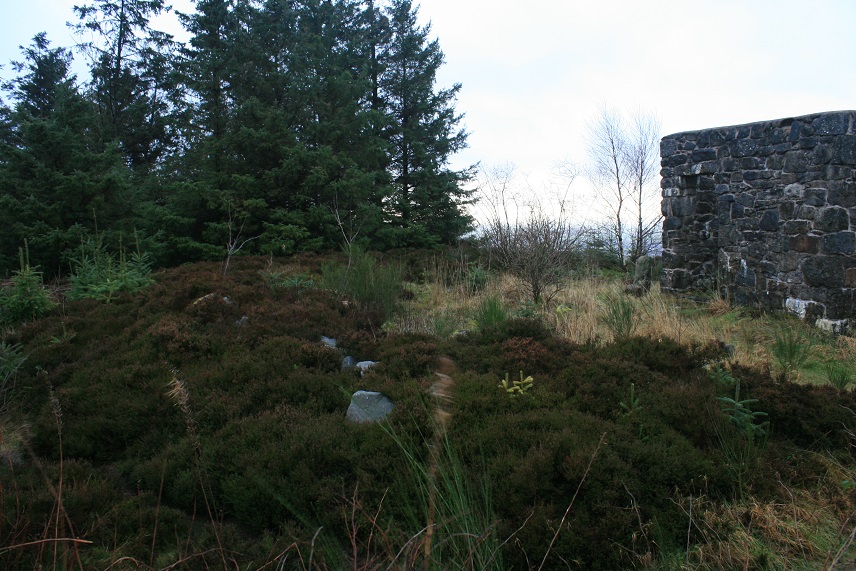 Selattyn Hill (Cairn(s)) by postman