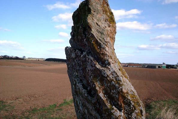 Easter Pitcorthie (Standing Stone / Menhir) by nickbrand