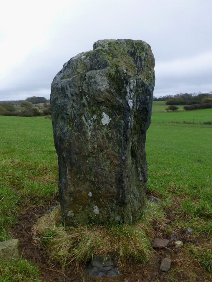 Trefwri Standing Stone (East) (Standing Stone / Menhir) by thesweetcheat