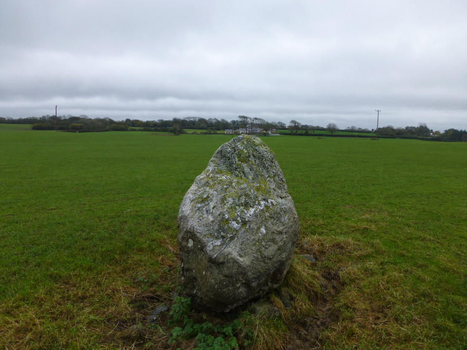 Trefwri Standing Stone (West) (Standing Stone / Menhir) by thesweetcheat