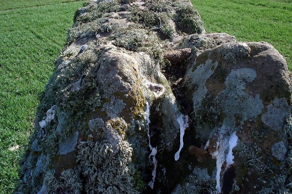 West Pitcorthie (Standing Stone / Menhir) by nickbrand