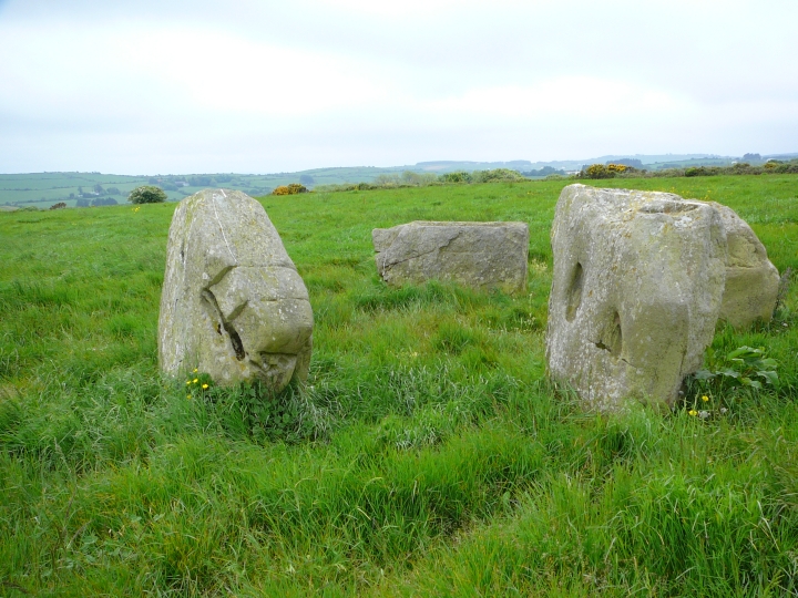 Knocknaneirk NE (Stone Circle) by Nucleus