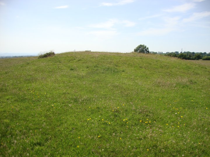 Beacon Hill (Round Barrow(s)) by Chance