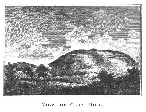 Cley Hill (Hillfort) by Rhiannon