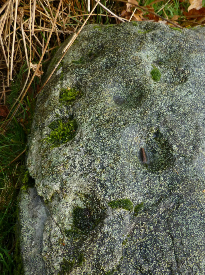 Owain Glyndwr's Mount (Cup and Ring Marks / Rock Art) by thesweetcheat