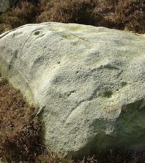 Askwith Moor (Cup and Ring Marks / Rock Art) by Chris Collyer