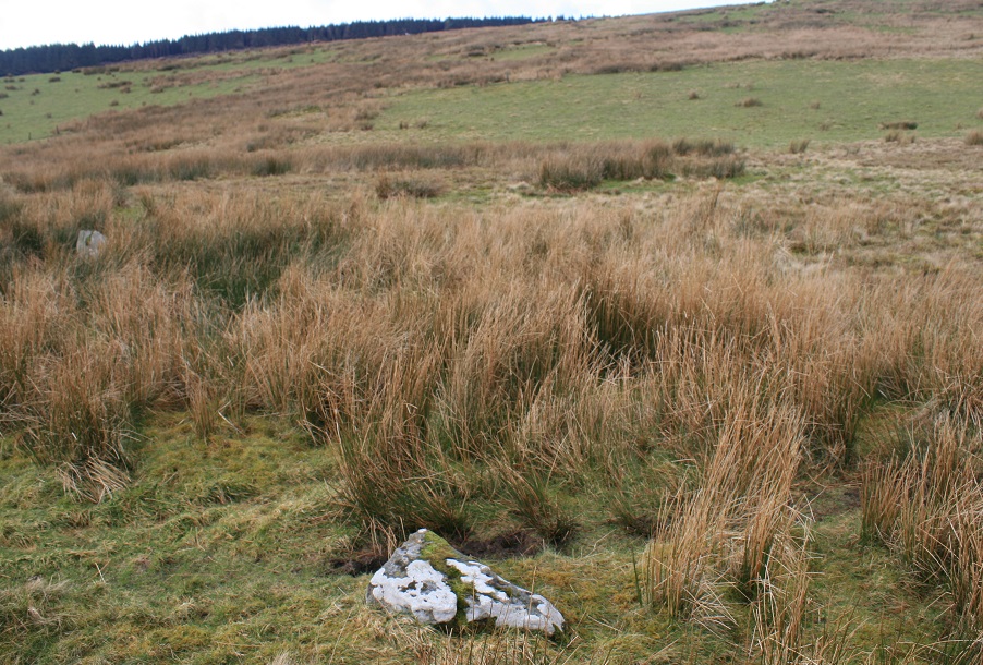Cerrig Cynant (Stone Circle) by postman