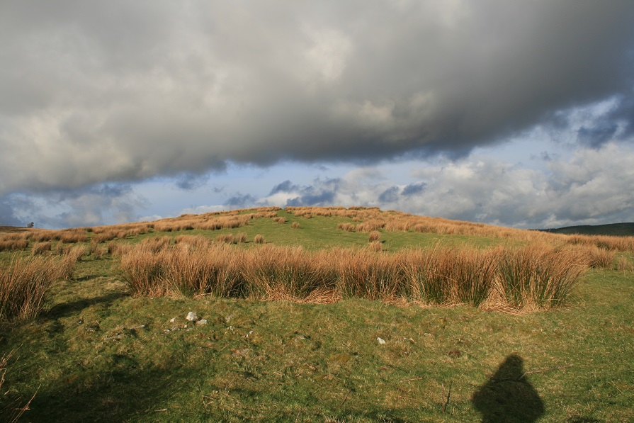 Bryn-Poeth-Uchaf North (Ring Cairn) by postman