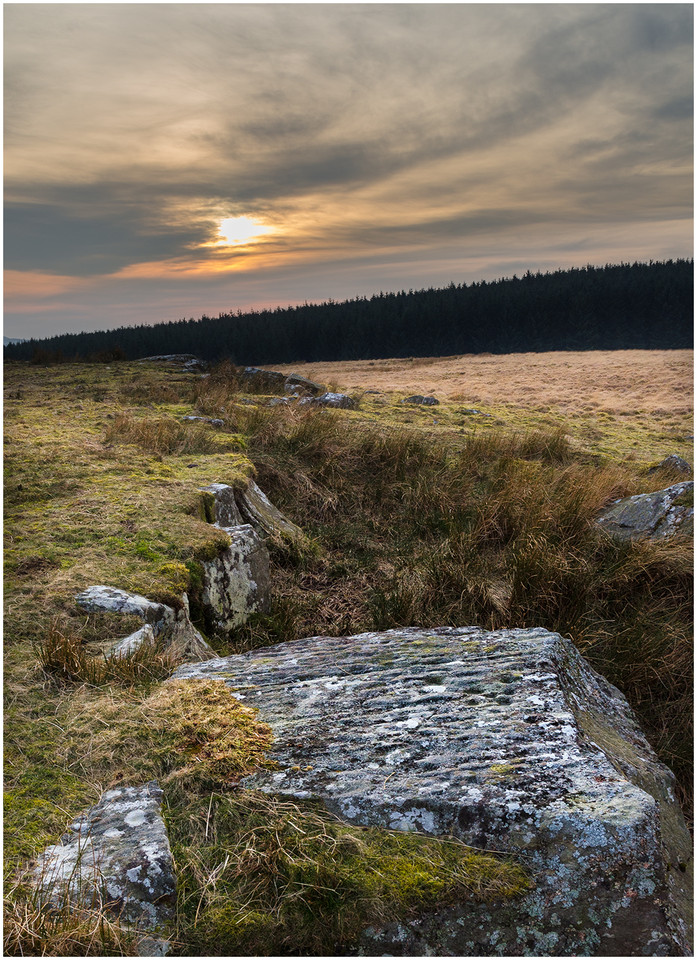Hartleyburn Common (Cup Marked Stone) by Nigeve1